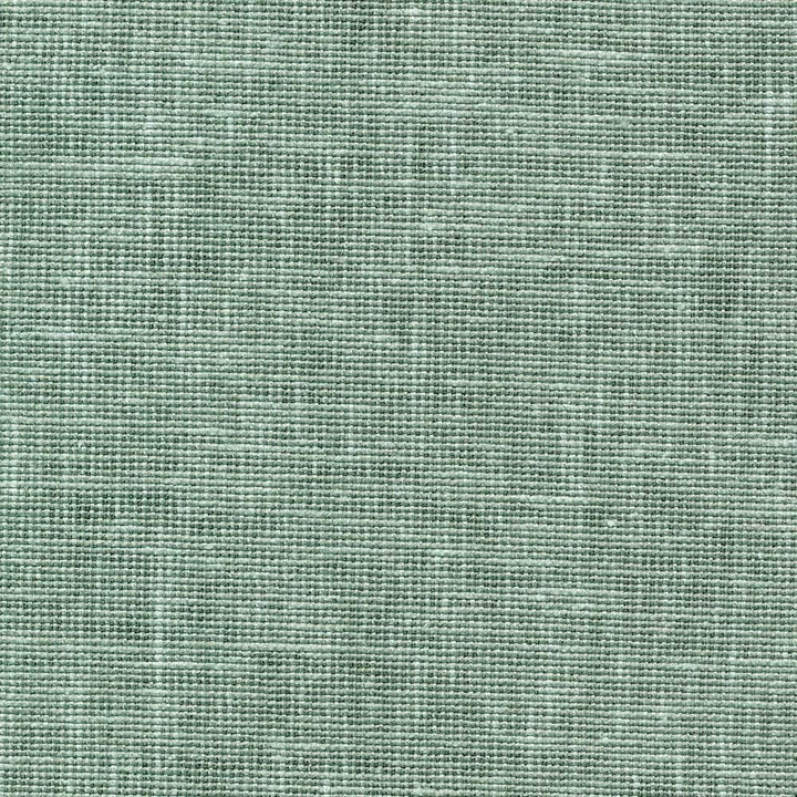 Maclaren Cactus  by Kasmir Fabric See sample 81% Polyester
19% Cotton
 INDIA Not Tested </p><p>Repeat: Horizontal: N/A and Vertical: N/A 54  - Fabric Carolina -