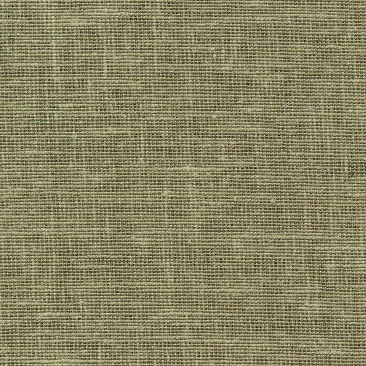 Maclaren Cedar by Kasmir Fabric 1377 INDIA Not Tested H: N/A, V:N/A 54 - 55 - Fabric Carolina - Kasmir