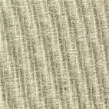 Maclaren Celery by Kasmir Fabric 1377 81% Polyester 19% Cotton INDIA Not Tested H: N/A, V: N/A 54 - 55 - Fabric Carolina - Kasmir