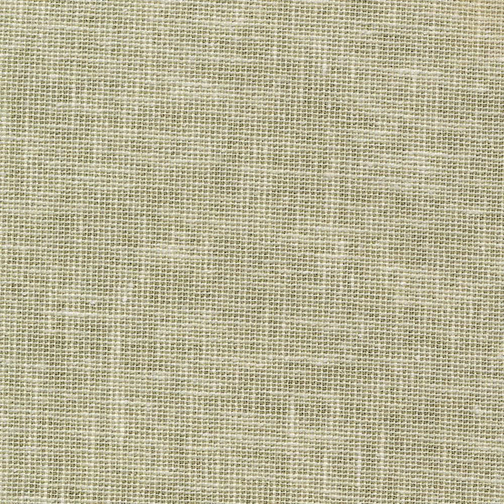 Maclaren Celery by Kasmir Fabric 1377 81% Polyester
19% Cotton
 INDIA Not Tested </p><p>Repeat: Horizontal: N/A and Vertical: N/A 54 - Fabric Carolina -