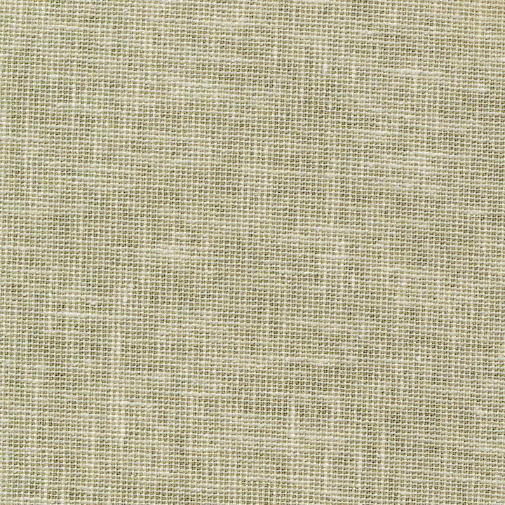 Maclaren Celery by Kasmir Fabric 1377 INDIA Not Tested H: N/A, V:N/A 54 - 55 - Fabric Carolina - Kasmir