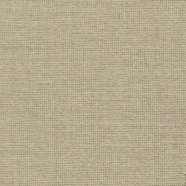 Maclaren Fog by Kasmir Fabric 1377 INDIA Not Tested H: N/A, V:N/A 54 - 55 - Fabric Carolina - Kasmir