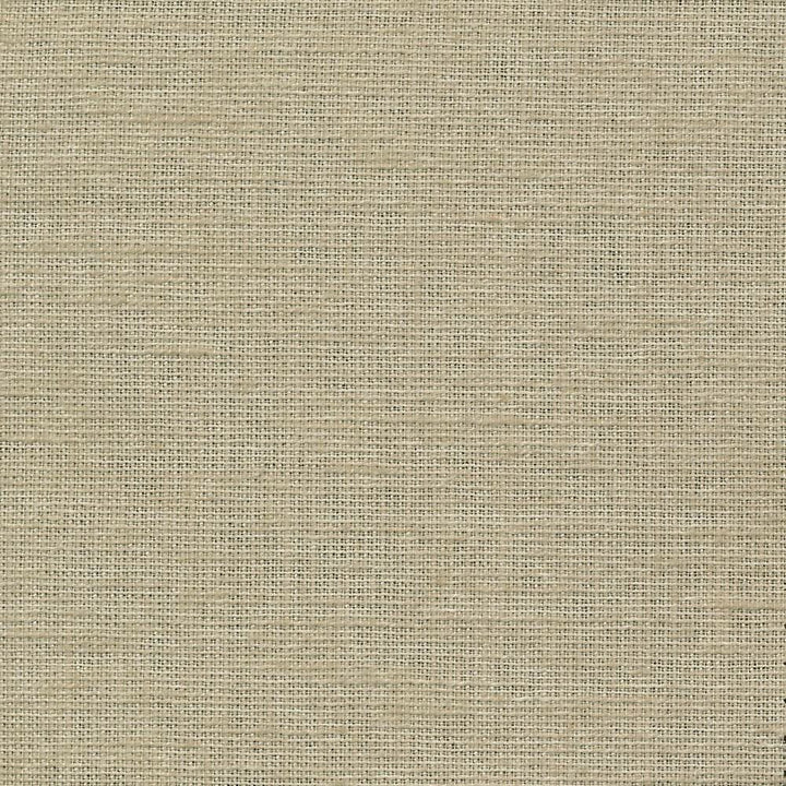Maclaren Fog by Kasmir Fabric 1377 81% Polyester
19% Cotton
 INDIA Not Tested </p><p>Repeat: Horizontal: N/A and Vertical: N/A 54 - Fabric Carolina -