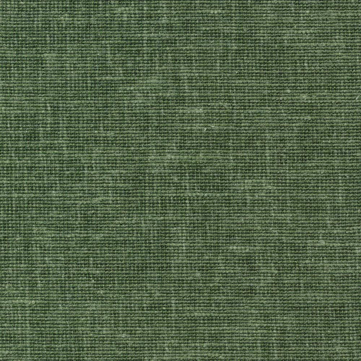 Maclaren Forest by Kasmir Fabric 1377 INDIA Not Tested H: N/A, V:N/A 54 - 55 - Fabric Carolina - Kasmir