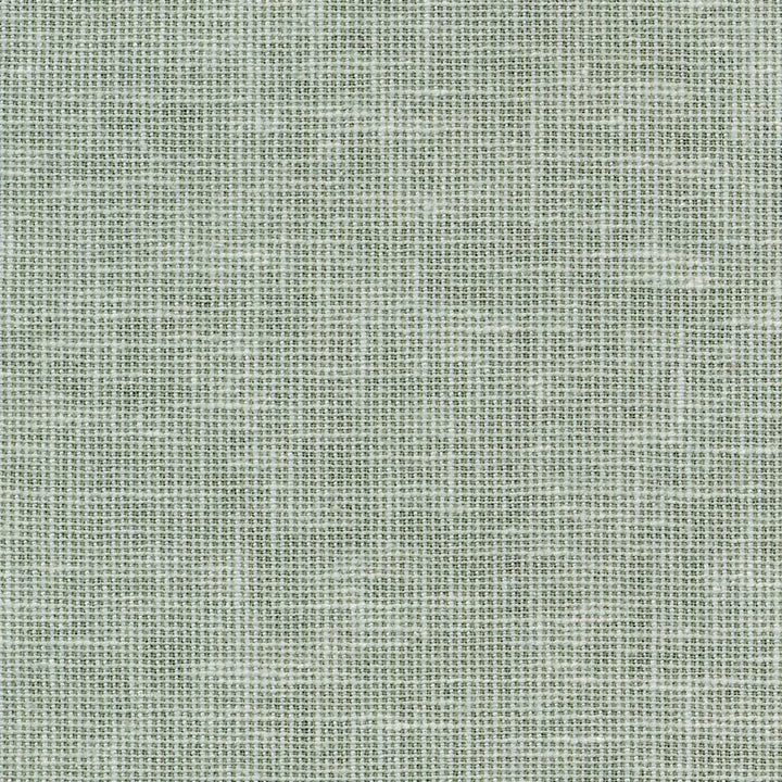 Maclaren Glacier by Kasmir Fabric 1377 81% Polyester
19% Cotton
 INDIA </p><p>Repeat: Horizontal: N/A and Vertical: N/A 54 - 55 - Fabric Carolina -