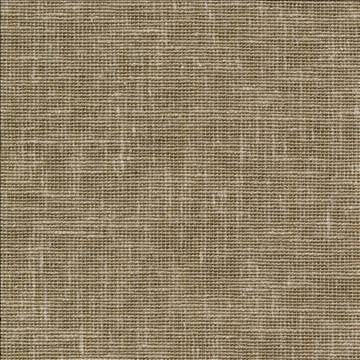 Maclaren Khaki by Kasmir Fabric 1377 81% Polyester 19% Cotton INDIA Not Tested H: N/A, V: N/A 54 - 55 - Fabric Carolina - Kasmir