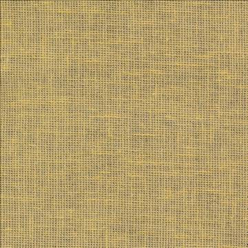 Maclaren Maize by Kasmir Fabric 1377 81% Polyester 19% Cotton INDIA Not Tested H: N/A, V: N/A 54 - 55 - Fabric Carolina - Kasmir