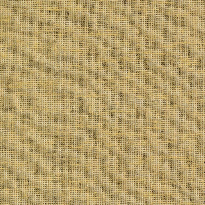 Maclaren Maize by Kasmir Fabric 1377 INDIA Not Tested H: N/A, V:N/A 54 - 55 - Fabric Carolina - Kasmir