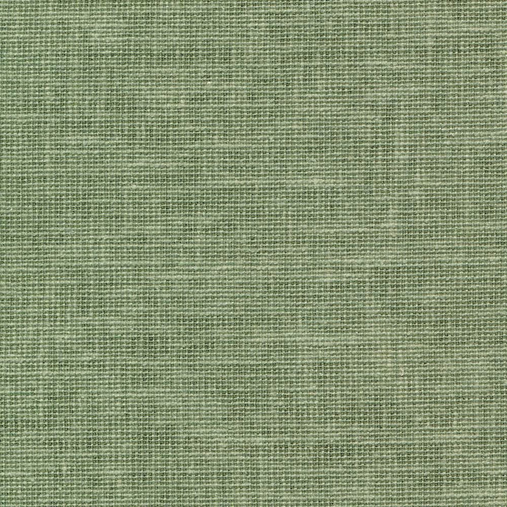Maclaren Marsh by Kasmir Fabric 1377 81% Polyester
19% Cotton
 INDIA Not Tested </p><p>Repeat: Horizontal: N/A and Vertical: N/A 54 - Fabric Carolina -