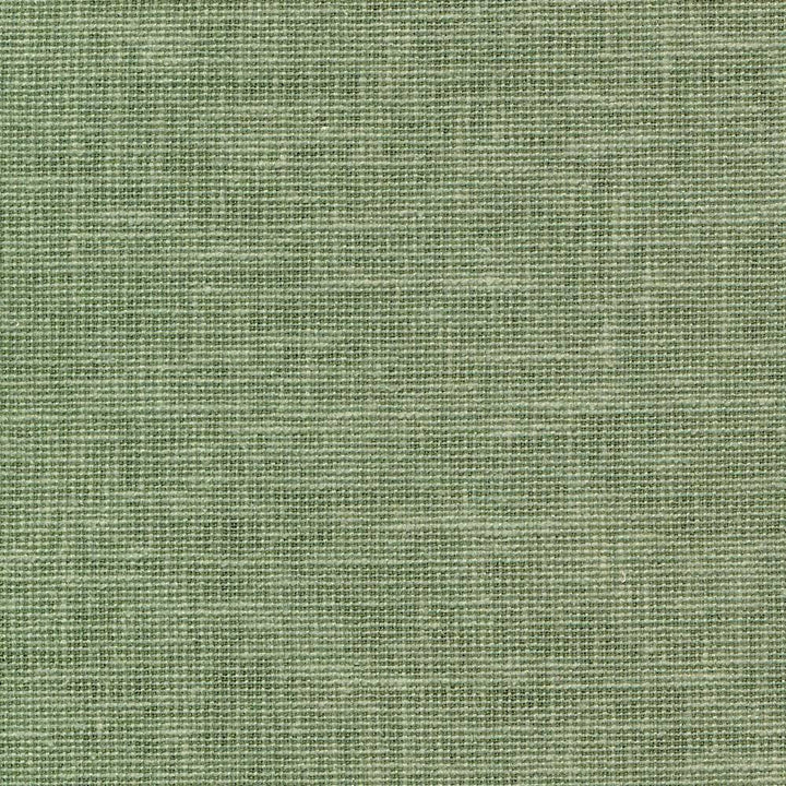 Maclaren Marsh by Kasmir Fabric 1377 INDIA Not Tested H: N/A, V:N/A 54 - 55 - Fabric Carolina - Kasmir