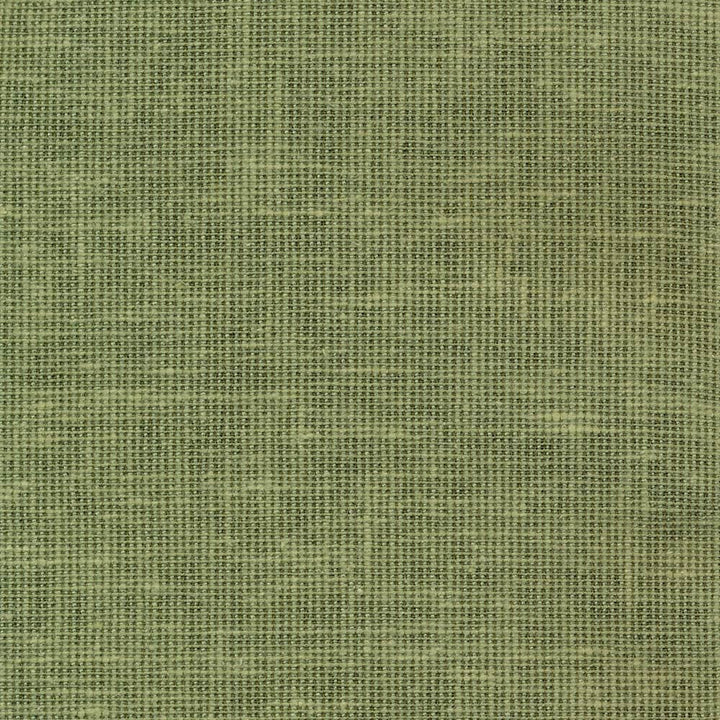Maclaren Mint by Kasmir Fabric 1377 81% Polyester
19% Cotton
 INDIA </p><p>Repeat: Horizontal: N/A and Vertical: N/A 54 - 55 - Fabric Carolina -