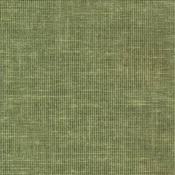 Maclaren Mint by Kasmir Fabric 1377 81% Polyester 19% Cotton INDIA Not Tested H: N/A, V: N/A 54 - 55 - Fabric Carolina - Kasmir