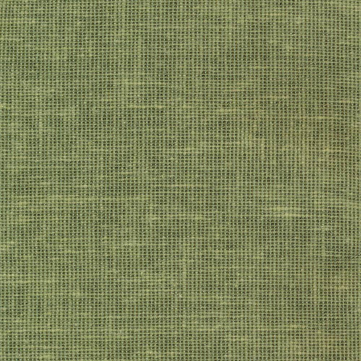 Maclaren Mint by Kasmir Fabric 1377 INDIA Not Tested H: N/A, V:N/A 54 - 55 - Fabric Carolina - Kasmir