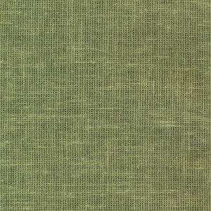 Maclaren Mint by Kasmir Fabric
