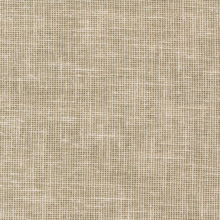 Maclaren Rye  by Kasmir Fabric See sample 81% Polyester
19% Cotton
 INDIA Not Tested </p><p>Repeat: Horizontal: N/A and Vertical: N/A 54  - Fabric Carolina -