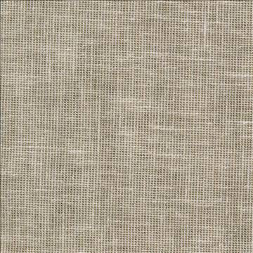 Maclaren Tussah by Kasmir Fabric 1377 81% Polyester 19% Cotton INDIA Not Tested H: N/A, V: N/A 54 - 55 - Fabric Carolina - Kasmir