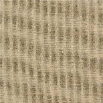 Maclaren Wheat by Kasmir Fabric 1377 81% Polyester 19% Cotton INDIA Not Tested H: N/A, V: N/A 54 - 55 - Fabric Carolina - Kasmir