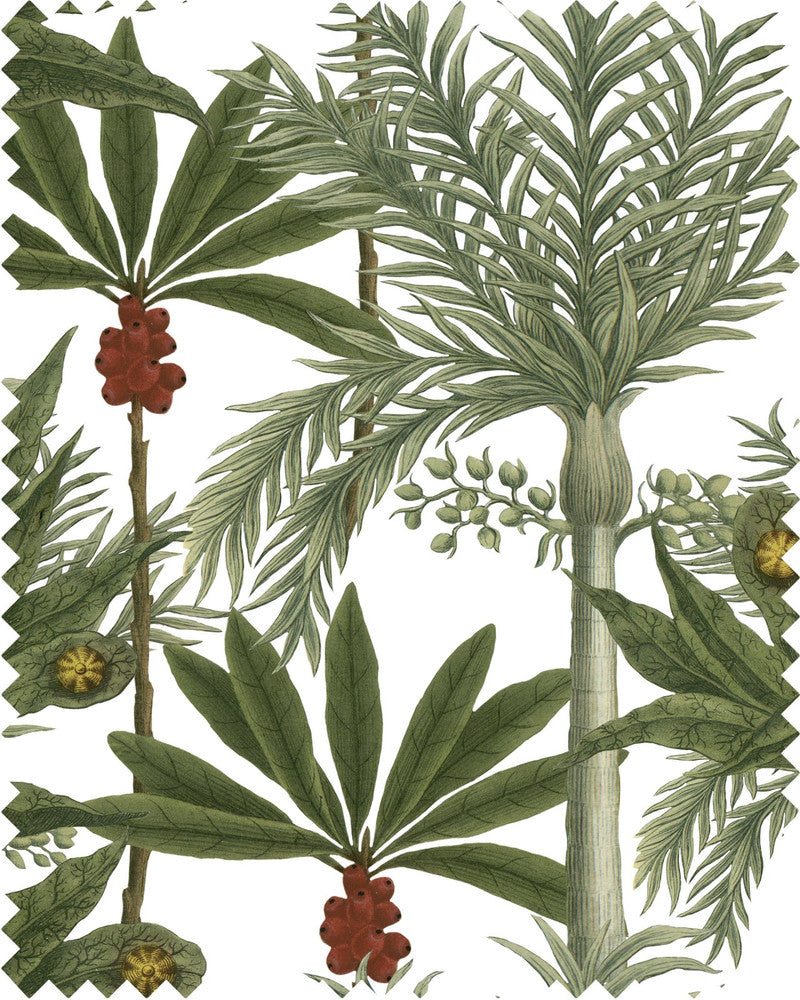 MADAGASCAR Linen (FB00031) by Mind The Gap | FB00031 | THE TROPICAL COTTAGE | Green, Red, White | Fabric Carolina | https://www.fabriccarolina.com/
