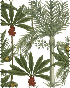 MADAGASCAR Linen (FB00031) by Mind The Gap