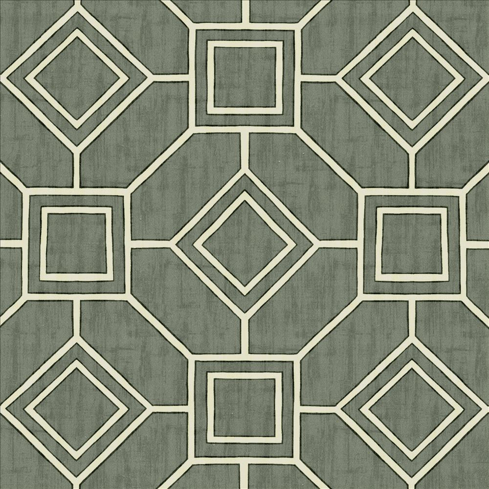 Magnitude Graphite by Kasmir Fabric 5141 100% Cotton
 SPAIN </p><p>Repeat: Horizontal: 13 4/8 inches and Vertical: 13 4/8 inches 54 - Fabric Carolina -
