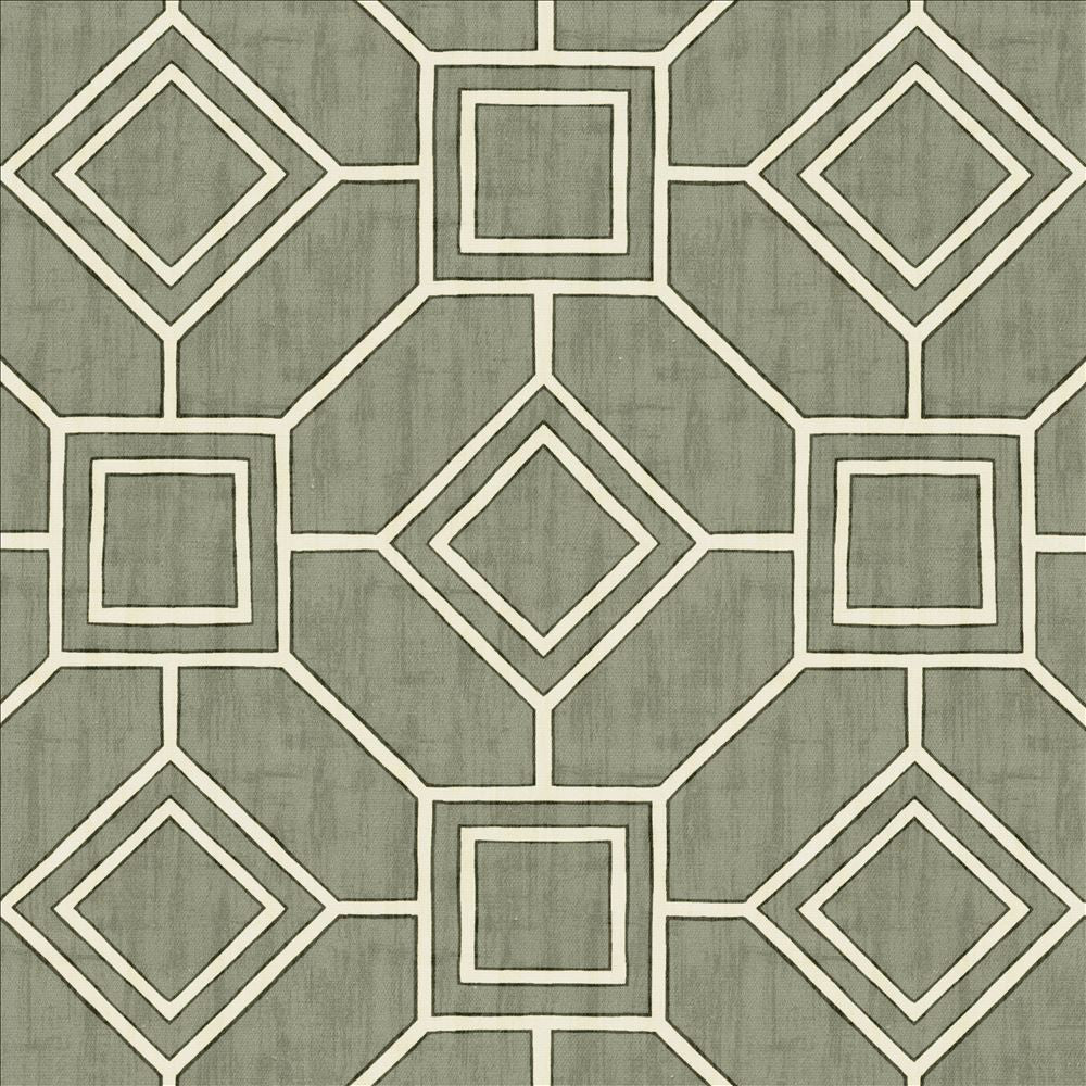 Magnitude Graphite by Kasmir Fabric 5141 100% Cotton
 SPAIN </p><p>Repeat: Horizontal: 13 4/8 inches and Vertical: 13 4/8 inches 54 - Fabric Carolina -
