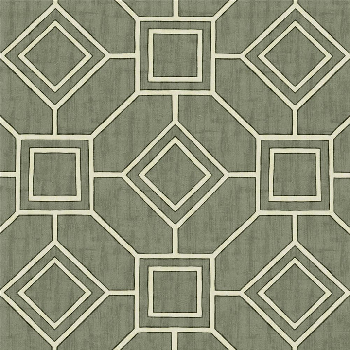 Magnitude Graphite by Kasmir Fabric 5141 100% Cotton
 SPAIN 35,000 Wyzenbeek Double Rubs Horizontal: 13 4/8 inches and Vertical: 13 4/8 inches 54 - Fabric Carolina -