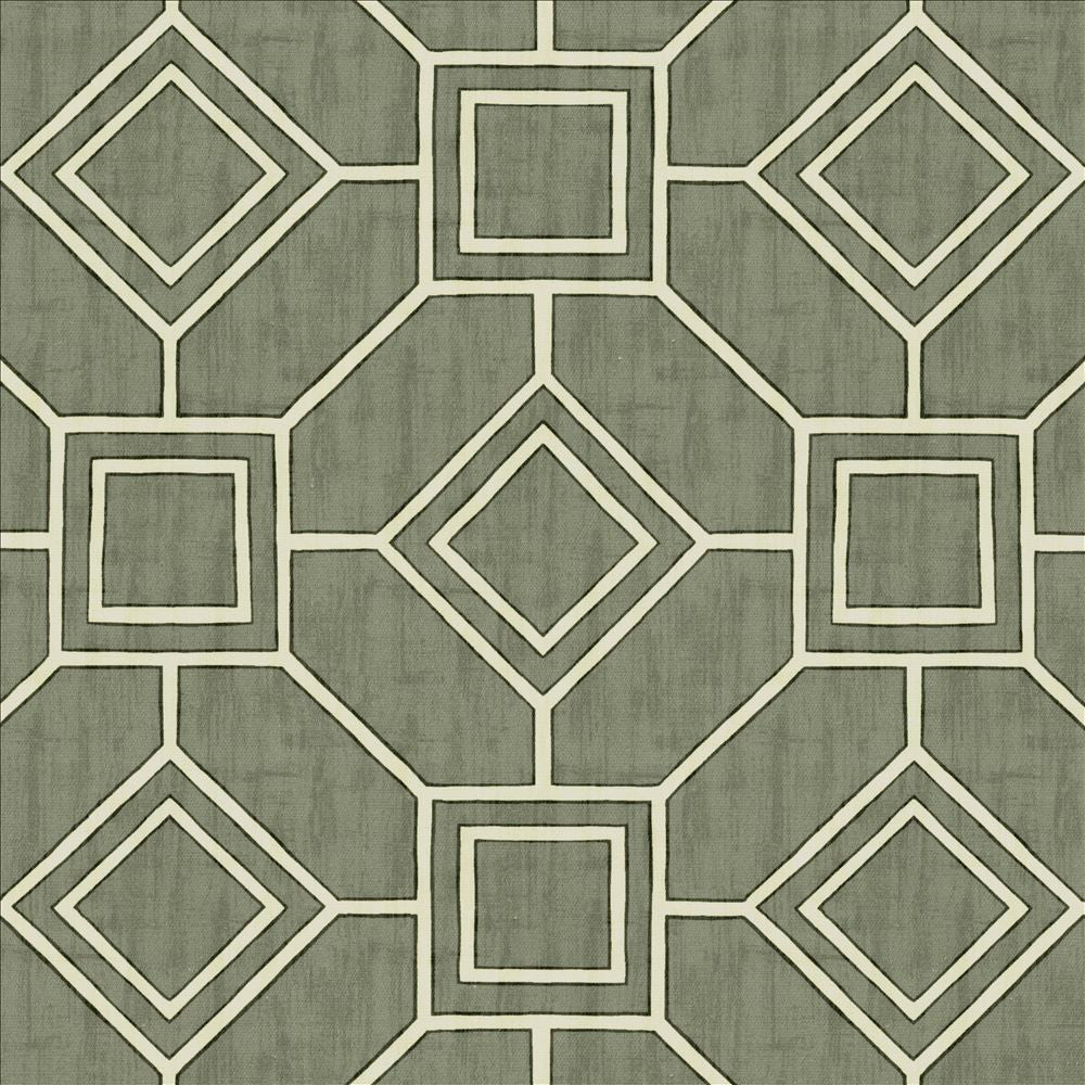 Magnitude Graphite by Kasmir Fabric 5141 100% Cotton
 SPAIN 35,000 Wyzenbeek Double Rubs </p><p>Repeat: Horizontal: 13 4/8 inches and Vertical: 13 4/8 inches 54 - Fabric Carolina -