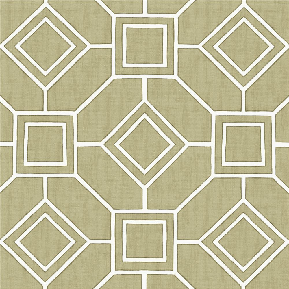 Magnitude Linen by Kasmir Fabric 5141 100% Cotton
 SPAIN </p><p>Repeat: Horizontal: 13 4/8 inches and Vertical: 13 4/8 inches 54 - Fabric Carolina -