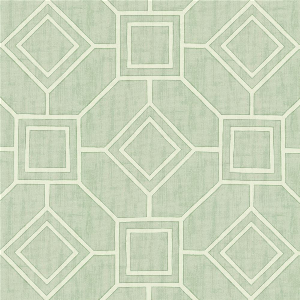 Magnitude Mist by Kasmir Fabric 5142 100% Cotton
 SPAIN </p><p>Repeat: Horizontal: 13 4/8 inches and Vertical: 13 4/8 inches 54 - Fabric Carolina -