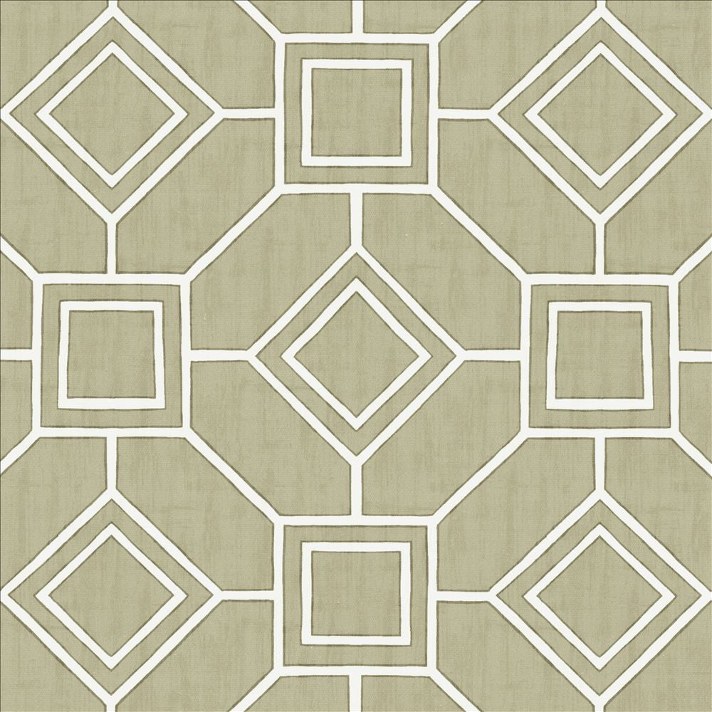 Magnitude Silver by Kasmir Fabric 5141 100% Cotton
 SPAIN </p><p>Repeat: Horizontal: 13 4/8 inches and Vertical: 13 4/8 inches 54 - Fabric Carolina -