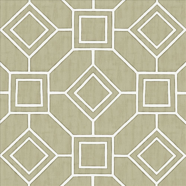 Magnitude Silver by Kasmir Fabric 5141 100% Cotton
 SPAIN </p><p>Repeat: Horizontal: 13 4/8 inches and Vertical: 13 4/8 inches 54 - Fabric Carolina -