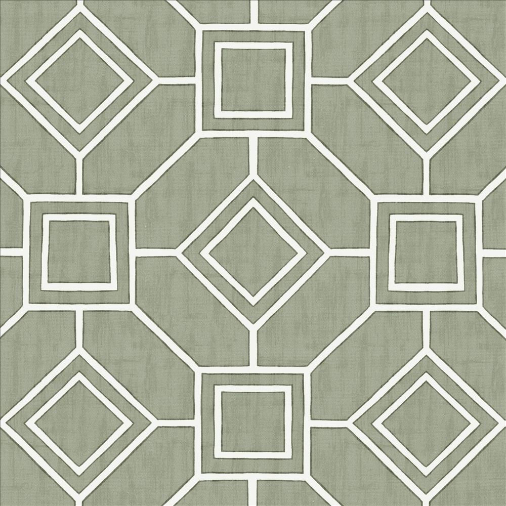 Magnitude Silver by Kasmir Fabric 5141 100% Cotton
 SPAIN </p><p>Repeat: Horizontal: 13 4/8 inches and Vertical: 13 4/8 inches 54 - Fabric Carolina -
