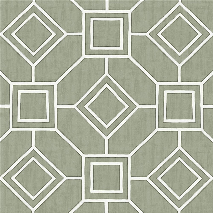 Magnitude Silver by Kasmir Fabric 5141 100% Cotton
 SPAIN </p><p>Repeat: Horizontal: 13 4/8 inches and Vertical: 13 4/8 inches 54 - Fabric Carolina -