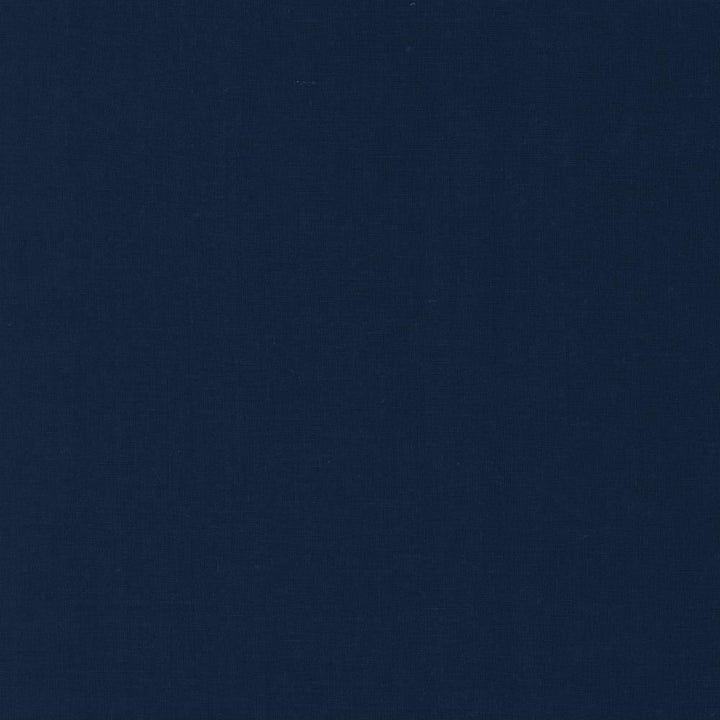 Magrath Indigo by Kasmir Fabric 1459 100% Linen
 POLAND </p><p>Repeat: Horizontal: N/A and Vertical: N/A 54 - Fabric Carolina -