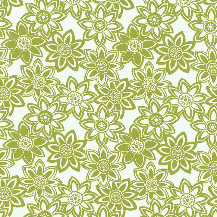 Mahina Aloe by Kasmir Fabric 5107 USA H: 27 inches, V:24 6/8 inches 53 - 54 - Fabric Carolina - Kasmir
