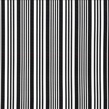 Mahina Stripe Black by Kasmir Fabric 5105 100% Cotton USA 51,000 Wyzenbeek Double Rubs H: 9 inches, V: N/A 53 - 54 - Fabric Carolina - Kasmir
