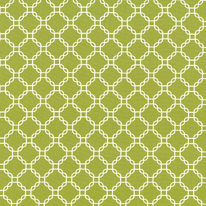 Mahina Trellis Aloe by Kasmir Fabric 5107 USA H: 4 4/8 inches, V:4 4/8 inches 53 - 54 - Fabric Carolina - Kasmir