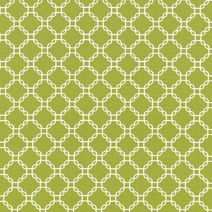 Mahina Trellis Aloe by Kasmir Fabric 5107 100% Cotton
 USA </p><p>Repeat: Horizontal: 4 4/8 inches and Vertical: 4 4/8 inches 53 - 54 - Fabric Carolina -