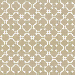 Mahina Trellis Dove by Kasmir Fabric
