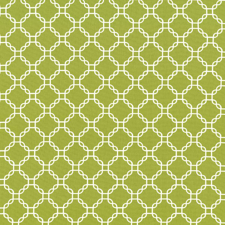 Mahina Trellis Aloe by Kasmir Fabric 5107 100% Cotton
 USA </p><p>Repeat: Horizontal: 4 4/8 inches and Vertical: 4 4/8 inches 53 - 54 - Fabric Carolina -