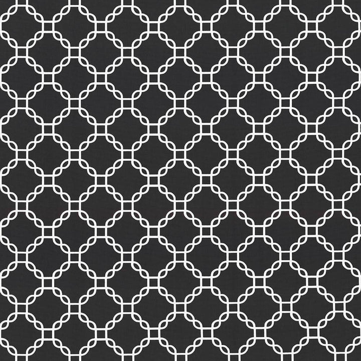 Mahina Trellis Black by Kasmir Fabric 5105 100% Cotton
 USA </p><p>Repeat: Horizontal: 4 4/8 inches and Vertical: 4 4/8 inches 53 - 54 - Fabric Carolina -
