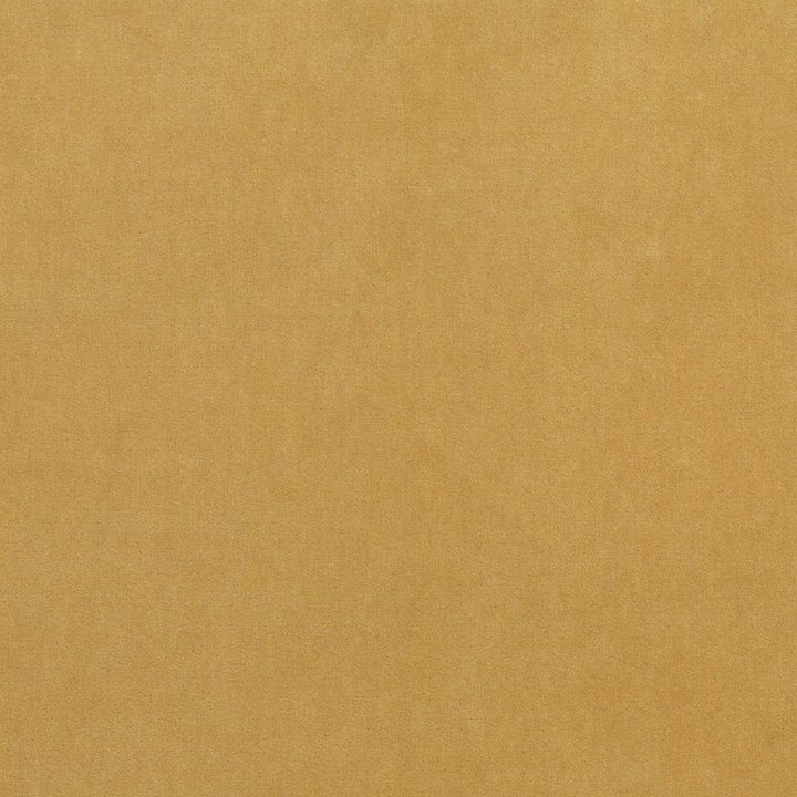 Maison Royale Antique Gold by Kasmir Fabric 1448 CHINA 201,000 Wyzenbeek Double Rubs H: N/A, V:N/A 54 - Fabric Carolina - Kasmir