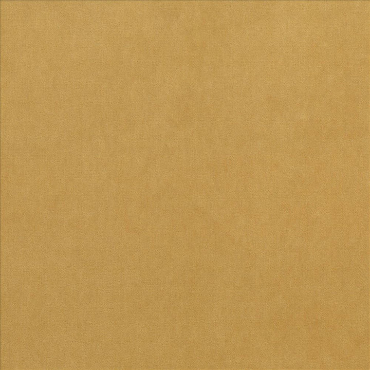 Maison Royale Antique Gold by Kasmir Fabric 1448 75% Polyester
25% Cotton
 CHINA </p><p>Repeat: Horizontal: N/A and Vertical: N/A 54 - Fabric Carolina -
