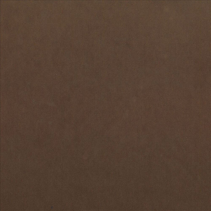 Maison Royale Brandy by Kasmir Fabric 1448 75% Polyester
25% Cotton
 CHINA 201,000 Wyzenbeek Double Rubs Horizontal: N/A and Vertical: N/A 54 - Fabric Carolina -