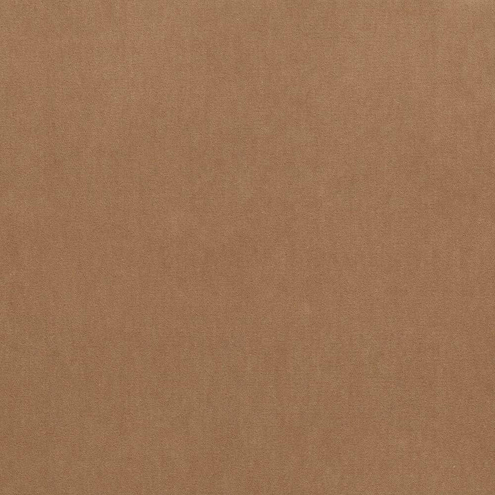Maison Royale Camel by Kasmir Fabric 1448 CHINA 201,000 Wyzenbeek Double Rubs H: N/A, V:N/A 54 - Fabric Carolina - Kasmir