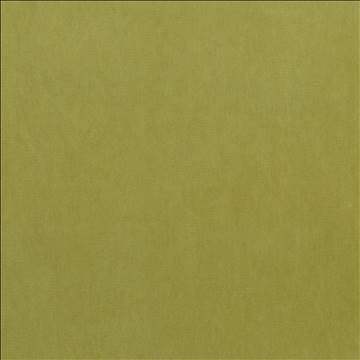 Maison Royale Chartreuse by Kasmir Fabric 1448 75% Polyester 25% Cotton CHINA 201,000 Wyzenbeek Double Rubs H: N/A, V: N/A 54 - Fabric Carolina - Kasmir