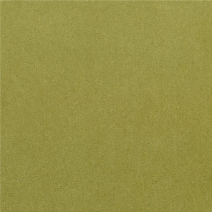 Maison Royale Chartreuse  by Kasmir Fabric See sample 75% Polyester
25% Cotton
 CHINA 201,000 Wyzenbeek Double Rubs </p><p>Repeat: Horizontal: N/A and Vertical: N/A 54  - Fabric Carolina -