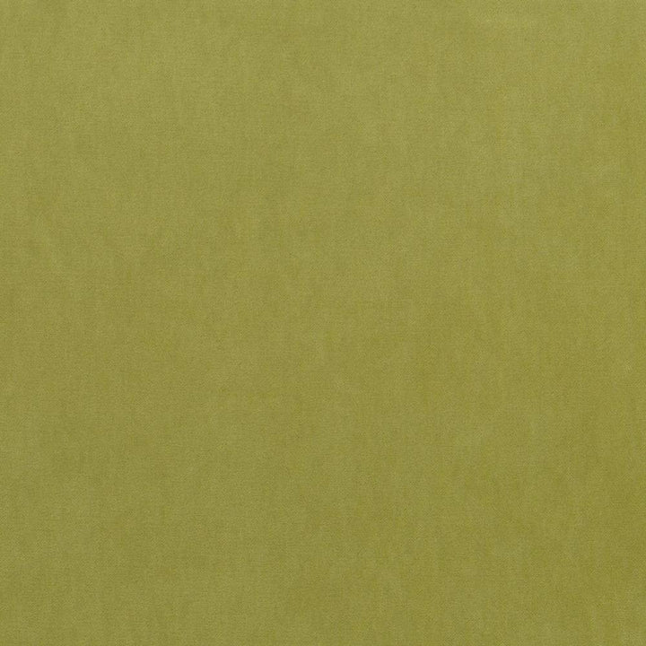 Maison Royale Chartreuse by Kasmir Fabric 1448 CHINA 201,000 Wyzenbeek Double Rubs H: N/A, V:N/A 54 - Fabric Carolina - Kasmir