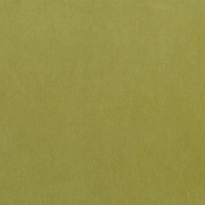Maison Royale Chartreuse by Kasmir Fabric