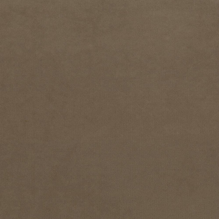 Maison Royale Driftwood by Kasmir Fabric 1448 CHINA 201,000 Wyzenbeek Double Rubs H: N/A, V:N/A 54 - Fabric Carolina - Kasmir